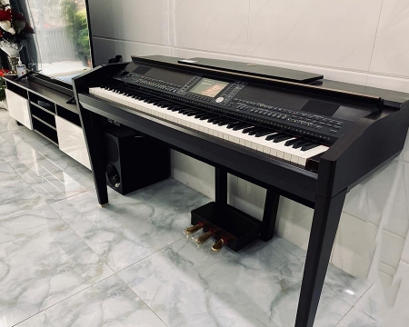 Yamaha CVP 509