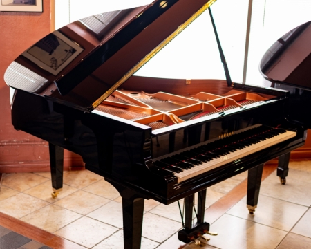 Yamaha Grand GC2 PE