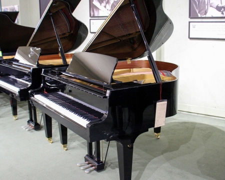 Kawai GL-40