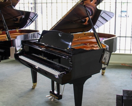 Kawai SK Series