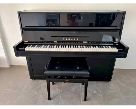 Yamaha P1